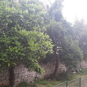 Kala Split